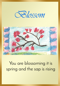 Blossom