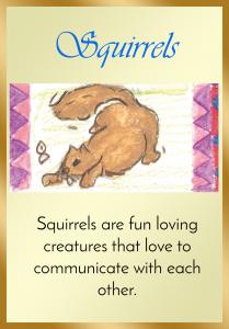 Squirrels