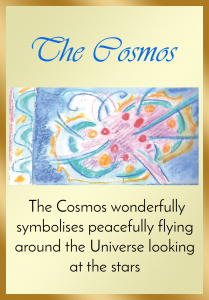 The Cosmos