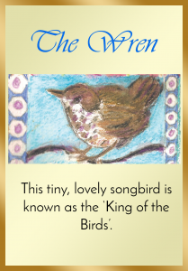 The Wren