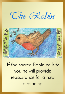 The robin
